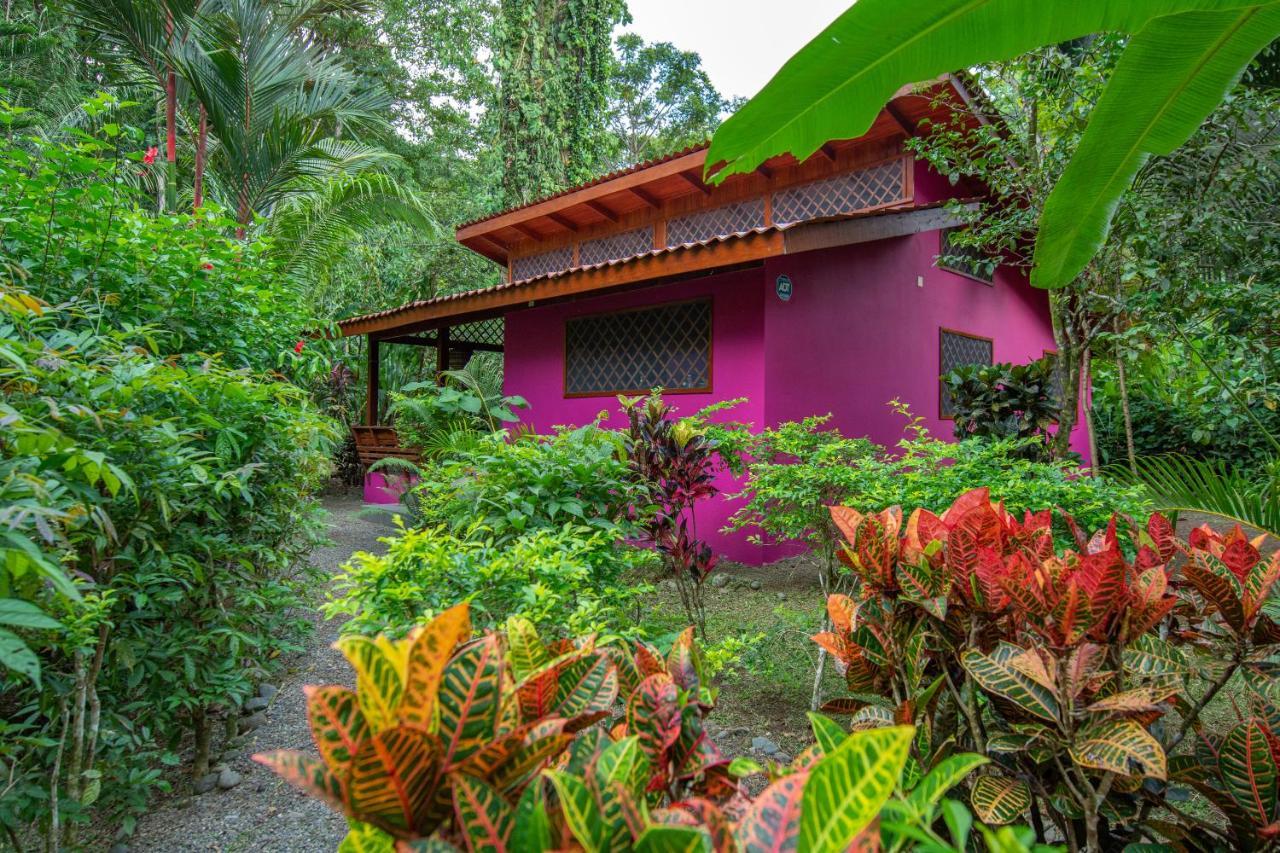 Villa Pina Dorada Dependencia Del Hotel Casa Merlin Puerto Viejo de Talamanca Exterior foto